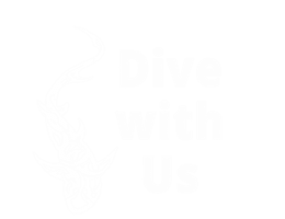 Dive With Us